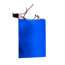 High Capacity 48V 20ah Ncm Power Lithim Ion Battery for Small Electric Forklift